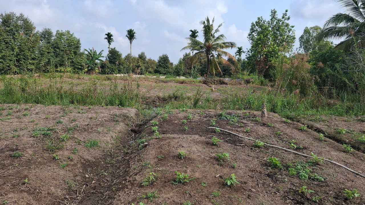 SP 642: BÁN NỀN ĐẸP TẠI KV THỚI AN